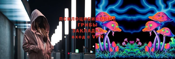 амф Верея