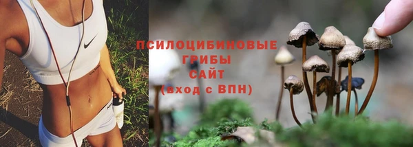 амф Верея