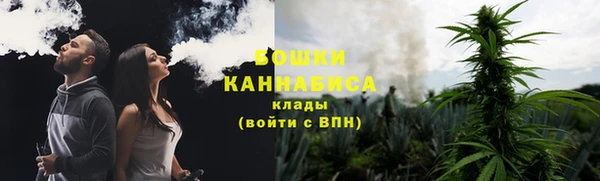 амф Верея
