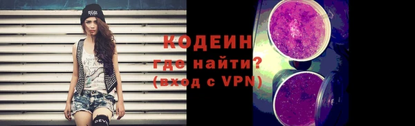 шишки Верхний Тагил