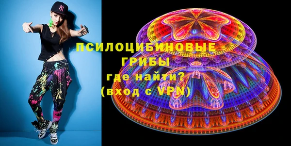 шишки Верхний Тагил