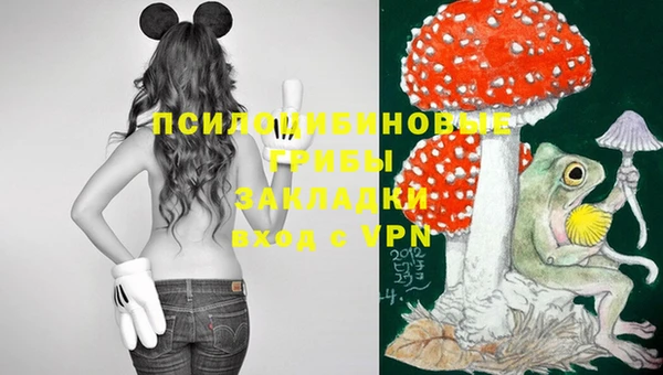 шишки Верхний Тагил