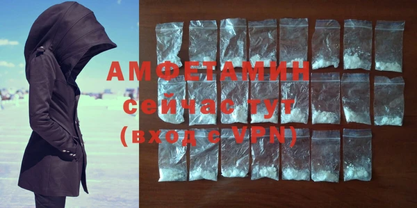 шишки Верхний Тагил