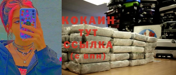 шишки Верхний Тагил