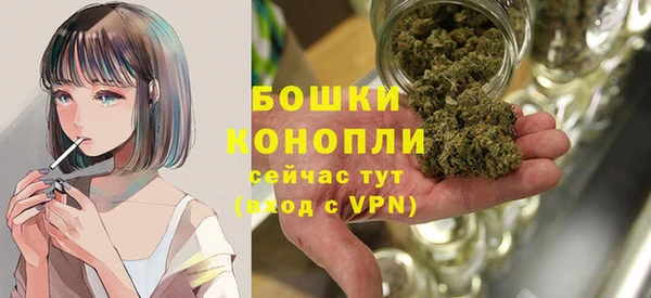 амф Верея