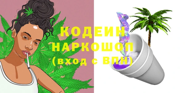 амф Верея