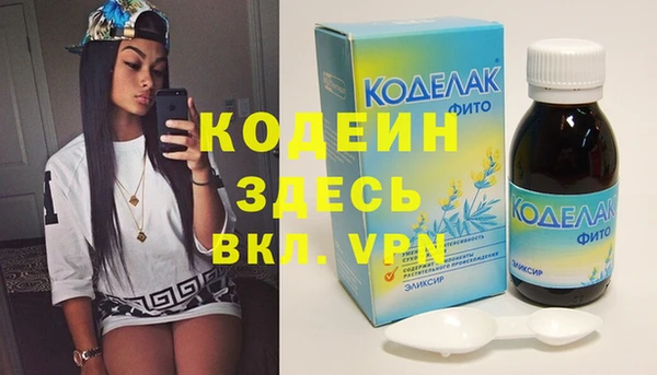 шишки Верхний Тагил